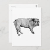 Briefkaart met dennenranden (Voorkant / Achterkant)