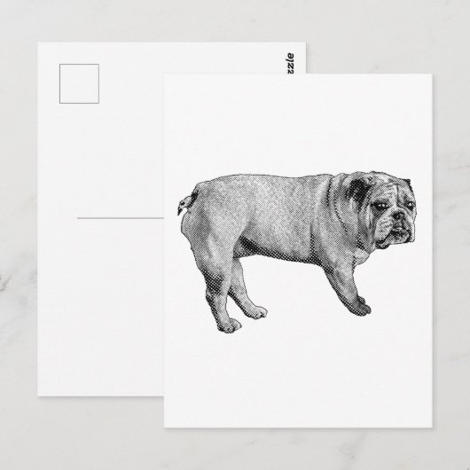 Briefkaart met dennenranden (Voorkant / Achterkant)