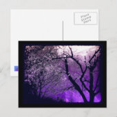 Briefkaart met draaimoes (Voorkant / Achterkant)