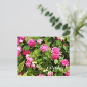 Briefkaart met dubbele impatiens (Staand voorkant)