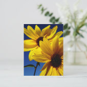 Briefkaart met dubbele zonnebloem (Staand voorkant)