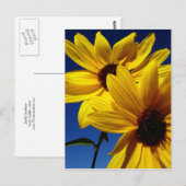 Briefkaart met dubbele zonnebloem (Voorkant / Achterkant)
