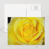 Briefkaart met één gele roze druk (Voorkant / Achterkant)