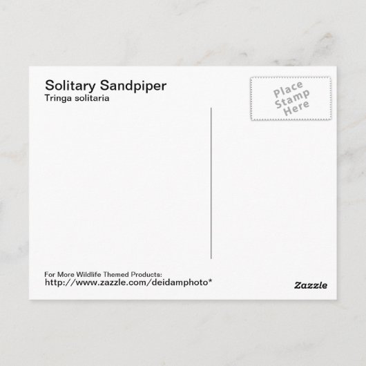 Briefkaart met één Sandpiper (Achterkant)