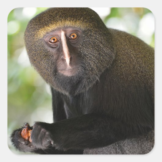 Briefkaart met een zijdeglans vierkante sticker (Voorkant)