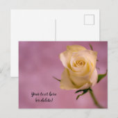 Briefkaart met enkele witte rozenholte (Voorkant / Achterkant)