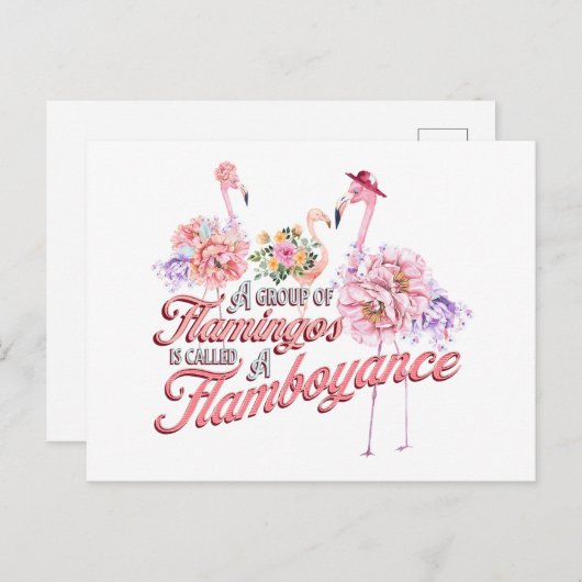 Briefkaart met flamboyante flamingos (Voorkant / Achterkant)