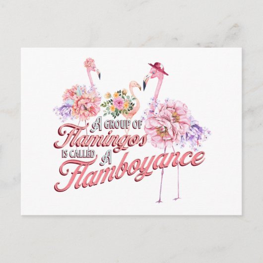 Briefkaart met flamboyante flamingos (Voorkant)