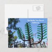 Briefkaart met flesboomgaard. (Voorkant / Achterkant)