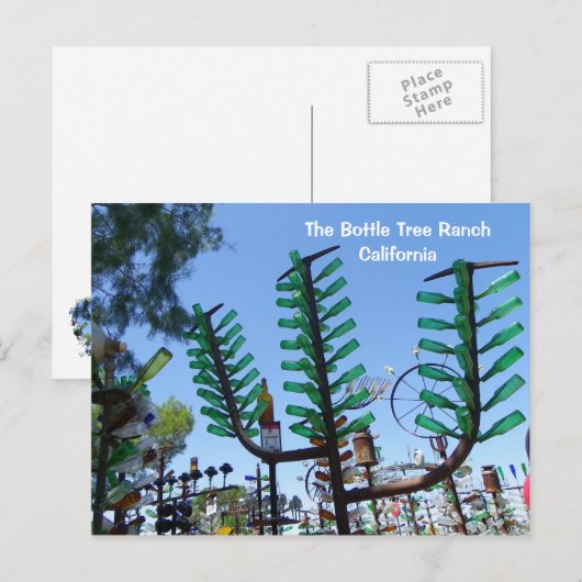 Briefkaart met flesboomgaard. (Voorkant / Achterkant)