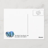 Briefkaart met flesboomgaard. (Achterkant)