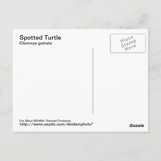 Briefkaart met gebotteld schildpad (Achterkant)