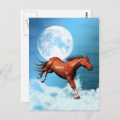 Briefkaart met gedistilleerd paard (Voorkant / Achterkant)