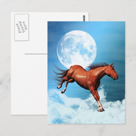 Briefkaart met gedistilleerd paard (Voorkant / Achterkant)