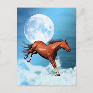 Briefkaart met gedistilleerd paard