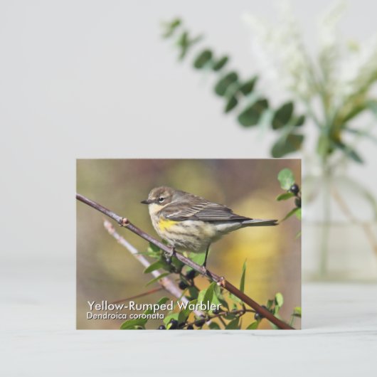 Briefkaart met geelpomp (Staand voorkant)