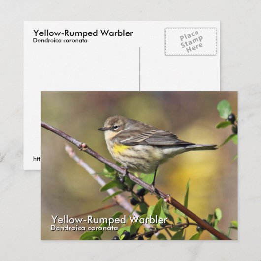 Briefkaart met geelpomp (Voorkant / Achterkant)