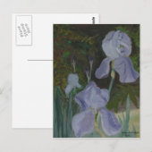 Briefkaart met gekaarde iris (Voorkant / Achterkant)