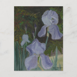 Briefkaart met gekaarde iris