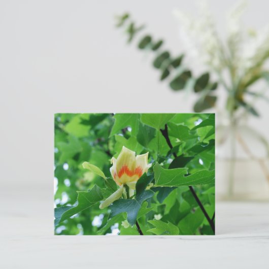 Briefkaart met gele populip (Staand voorkant)