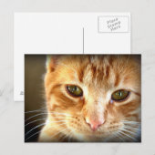 Briefkaart met gele tablet (Voorkant / Achterkant)