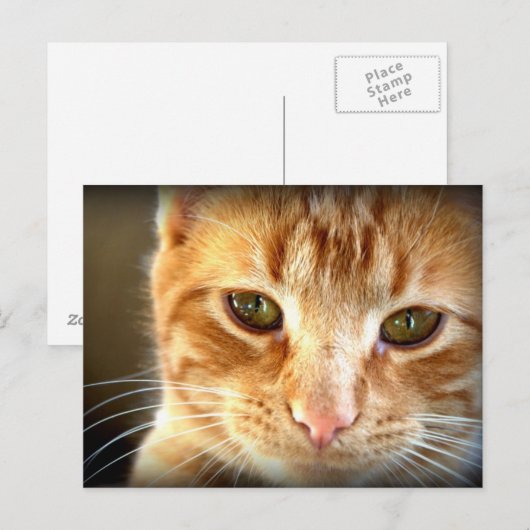 Briefkaart met gele tablet (Voorkant / Achterkant)