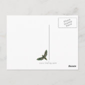 Briefkaart met gemarmerde Moth (Achterkant)