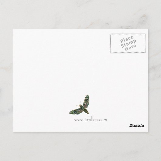 Briefkaart met gemarmerde Moth (Achterkant)