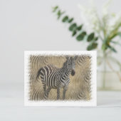 Briefkaart met gestreept Zebra (Staand voorkant)