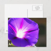 Briefkaart met gloeiend hart (Voorkant / Achterkant)