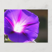 Briefkaart met gloeiend hart (Voorkant)