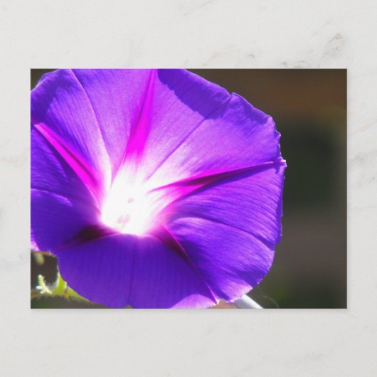 Briefkaart met gloeiend hart (Voorkant)