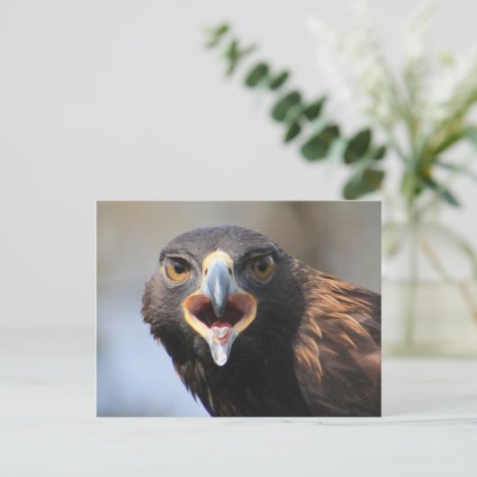 Briefkaart met Golden Eagle (Staand voorkant)