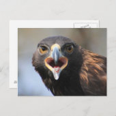 Briefkaart met Golden Eagle (Voorkant / Achterkant)