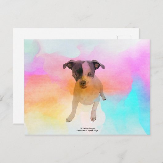 Briefkaart met grijze discoblanco (Voorkant / Achterkant)