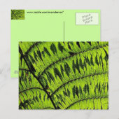 Briefkaart met groen leder (Voorkant / Achterkant)