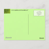 Briefkaart met groen leder (Achterkant)