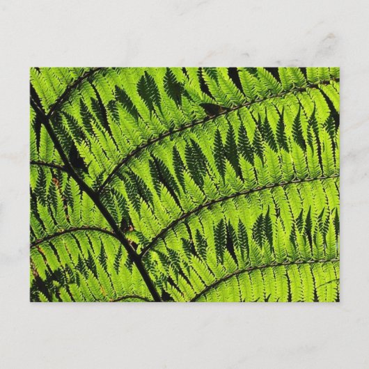 Briefkaart met groen leder (Voorkant)
