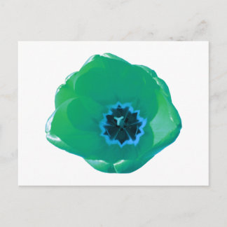 Briefkaart met groene en blauwe tulpen
