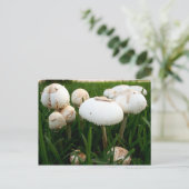 Briefkaart met groene porties (Staand voorkant)