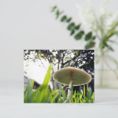 Briefkaart met groene porties (Staand voorkant)
