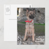 Briefkaart met het Duitse kasteel Shepherd Ruin be (Voorkant / Achterkant)