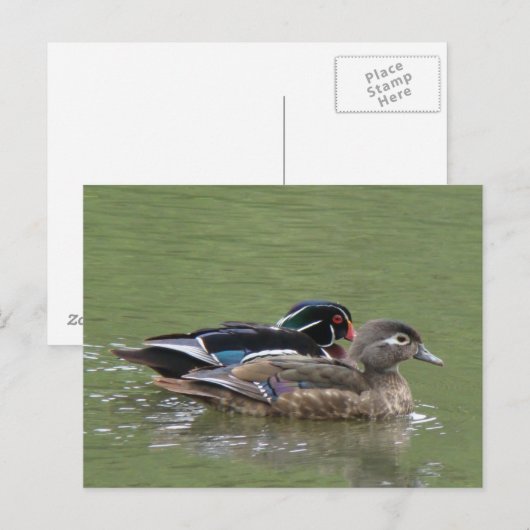 Briefkaart met houtsnipper (Voorkant / Achterkant)