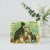 Briefkaart met  illustratie van Kittens (Staand voorkant)