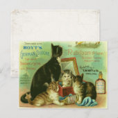 Briefkaart met  illustratie van Kittens (Voorkant / Achterkant)