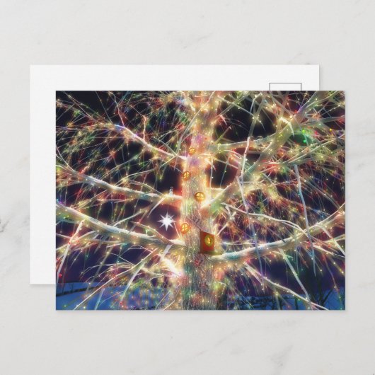 Briefkaart met kerstboomkleed (Voorkant / Achterkant)