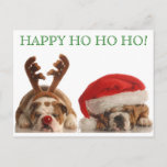 Briefkaart met kerstbul 2<br><div class="desc">Snelle,  gemakkelijke en geweldige feestelijke groeten dit jaar! Voeg gewoon de bijbehorende Bulldog-stempel (beschikbaar in onze winkel) toe en je bent klaar! Happy Ho Ho van Design PetsRPepeople2</div>