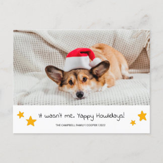 Briefkaart met kersthondenfoto's