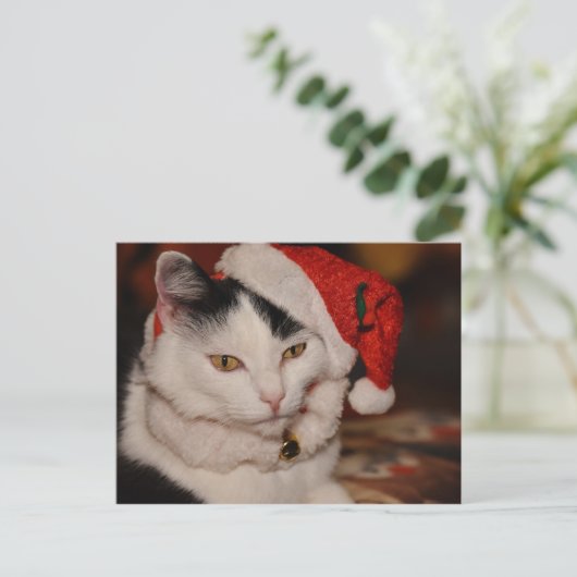 Briefkaart met kerstkatten (Staand voorkant)