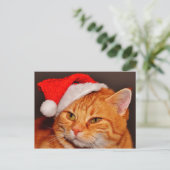 Briefkaart met kerstkatten (Staand voorkant)